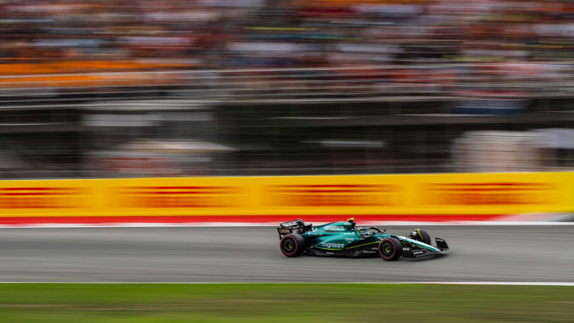 森林队认为 森林队认为